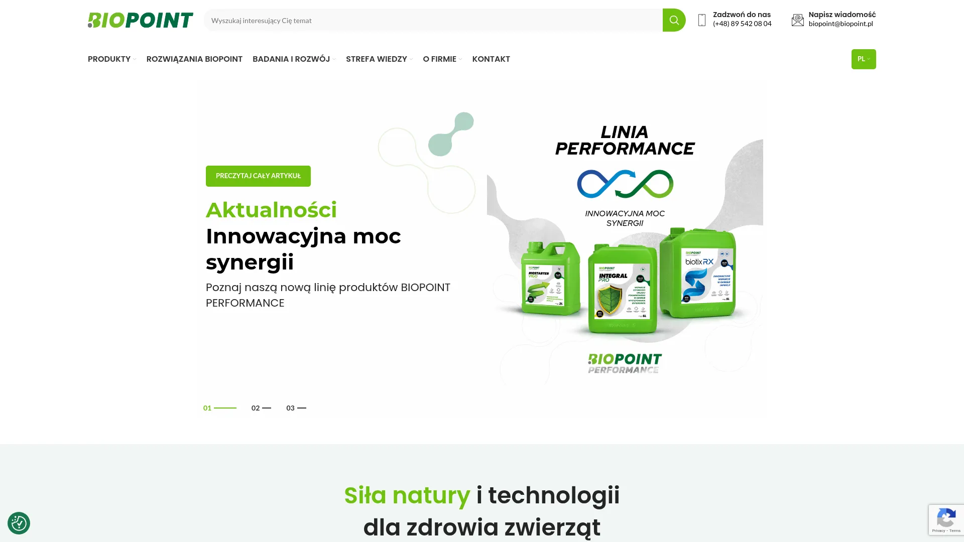 Zrzut ekranu strony